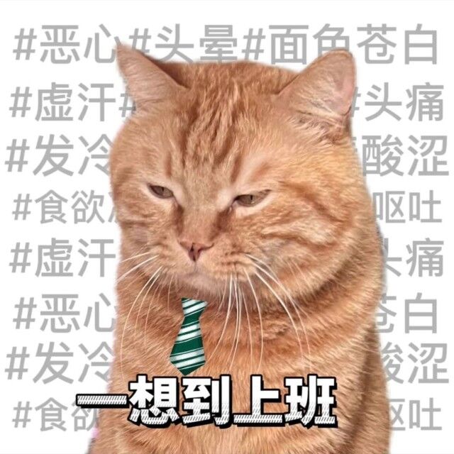 migao的头像-小金同学